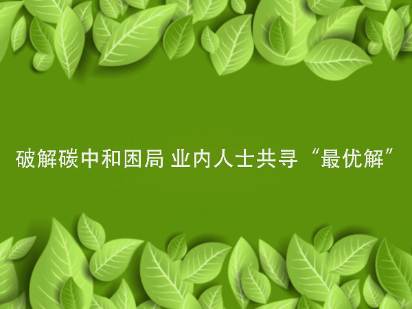 破解碳中和困局 业内人士共寻“最优解”